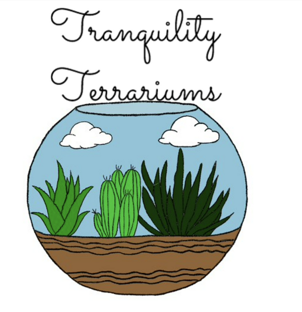 Tranquility Terrariums